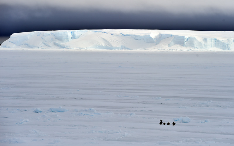壁紙ダウンロード 南極を切り撮る 十勝毎日新聞電子版presents