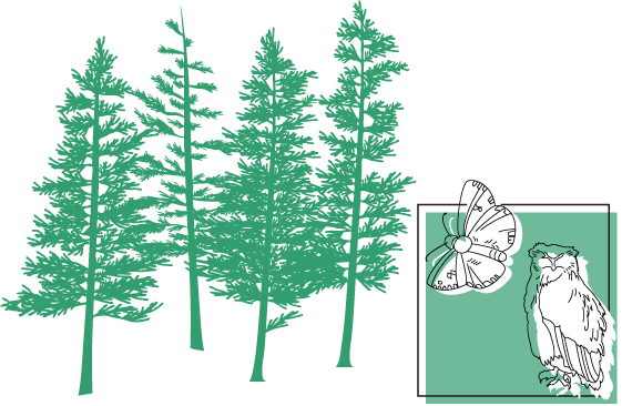 針葉樹林、ナキウサギ、ヒメチャマダラセセリの図